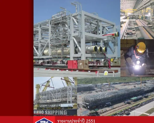 STP&I Annual Report 2008