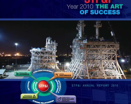 STP&I Annual Report 2010