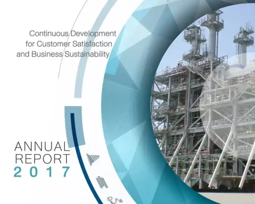 STP&I Annual Report 2017