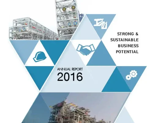 STP&I Annual Report 2016